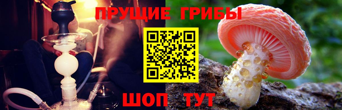 Галлюциногенные грибы Psilocybe  Вход с VPN  дарнет шоп  Ивантеевка 